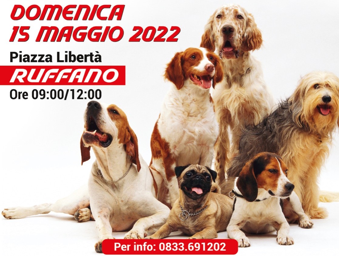 Giornata del microchip gratuito
