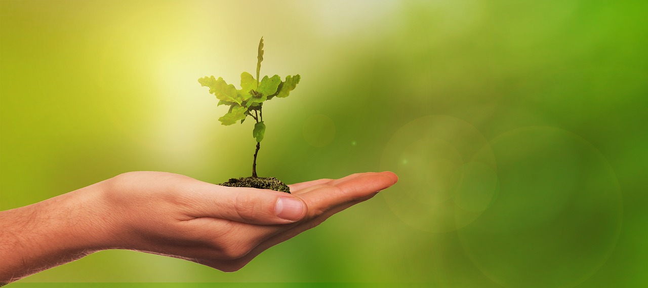 L'amministrazione comunale informa la cittadinanza che è attivo lo sportello all'agricoltura