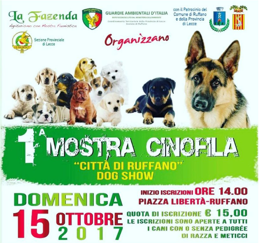 Prima mostra cinofila - "Città di Ruffano" Dog Show