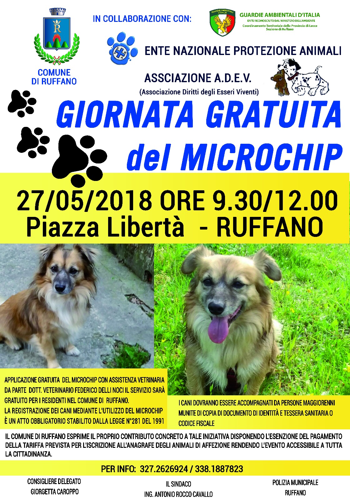 Giornata gratuita del microchip