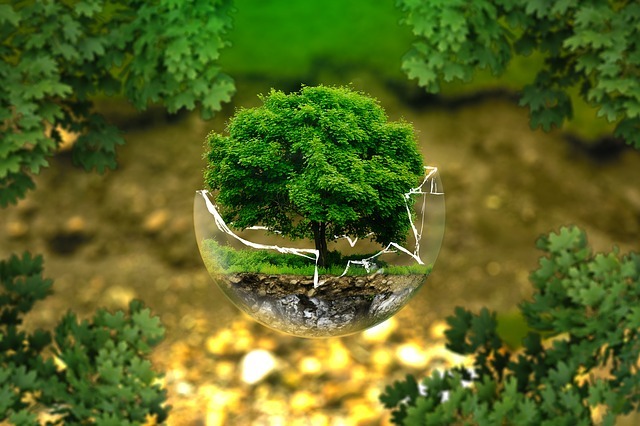 Nostra madre terra - passeggiata ecologica