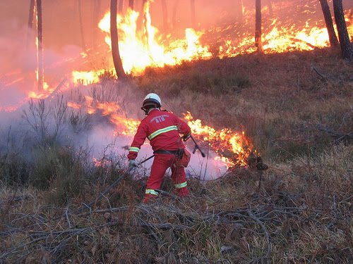 DICHIARAZIONE DELLO STATO DI GRAVE PERICOLOSITA' PER GLI INCENDI BOSCHIVI NELLANNO 2018 - Periodo dal 15 giugno al 15 settembre-