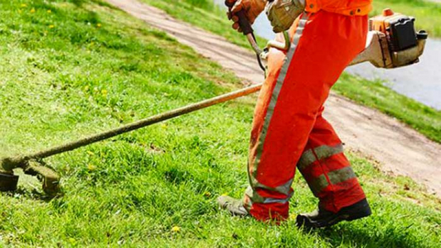 Provincia di Lecce: Manutezione vegetazione e siepi, taglio rami sporgenti ed alberi ai margini delle Strade Provinciali