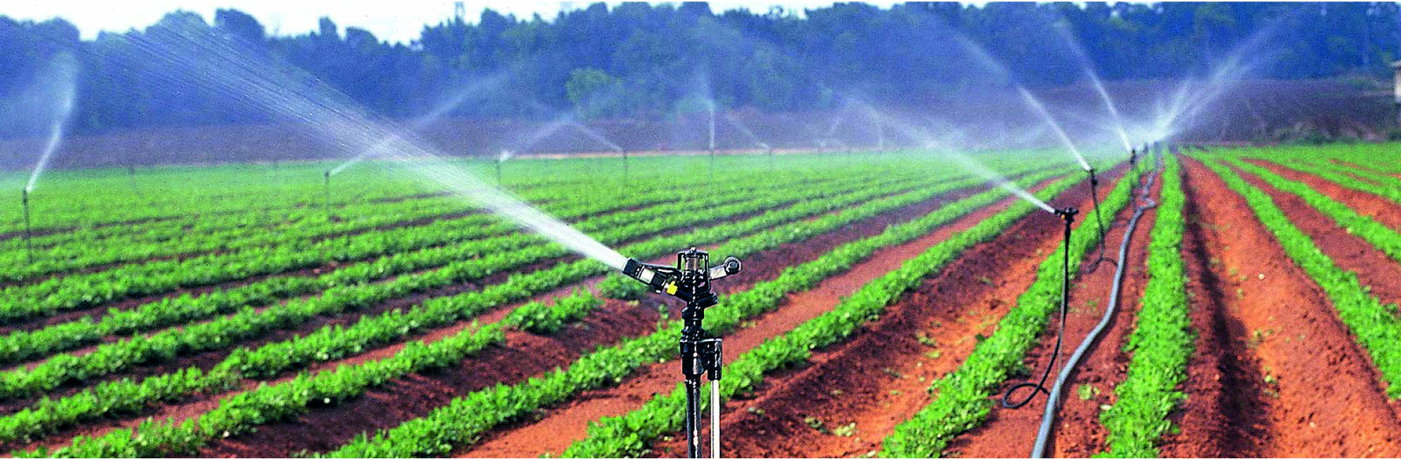 Avviso manifestazione d’interesse all’utilizzo di acque reflue per uso irriguo
