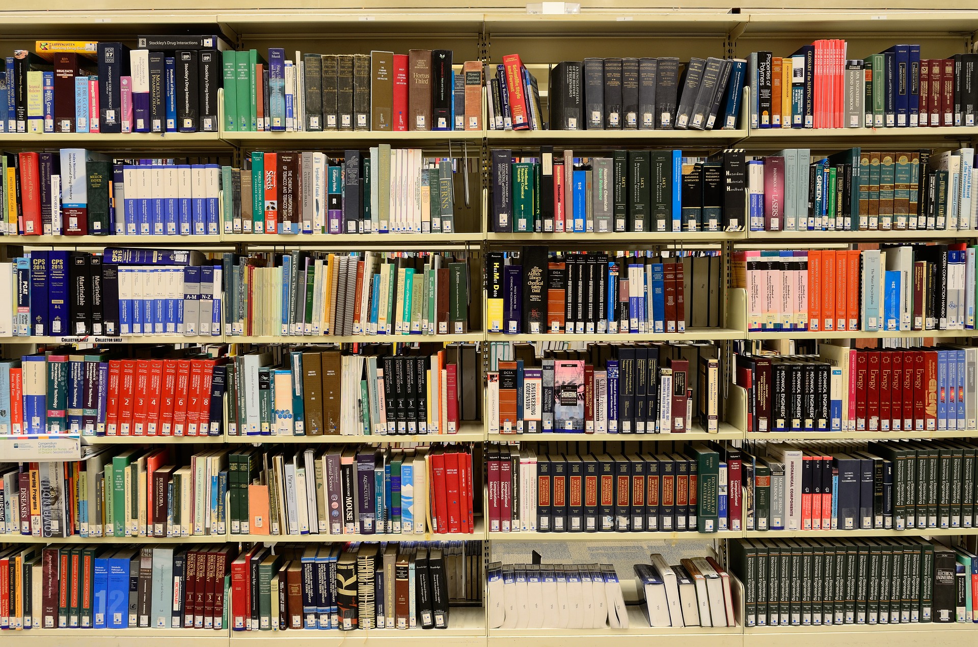 Manifestazione di interesse per l'affidamento del servizio di gestione della Biblioteca e Pinacoteca comunale - Riapertura dei termini